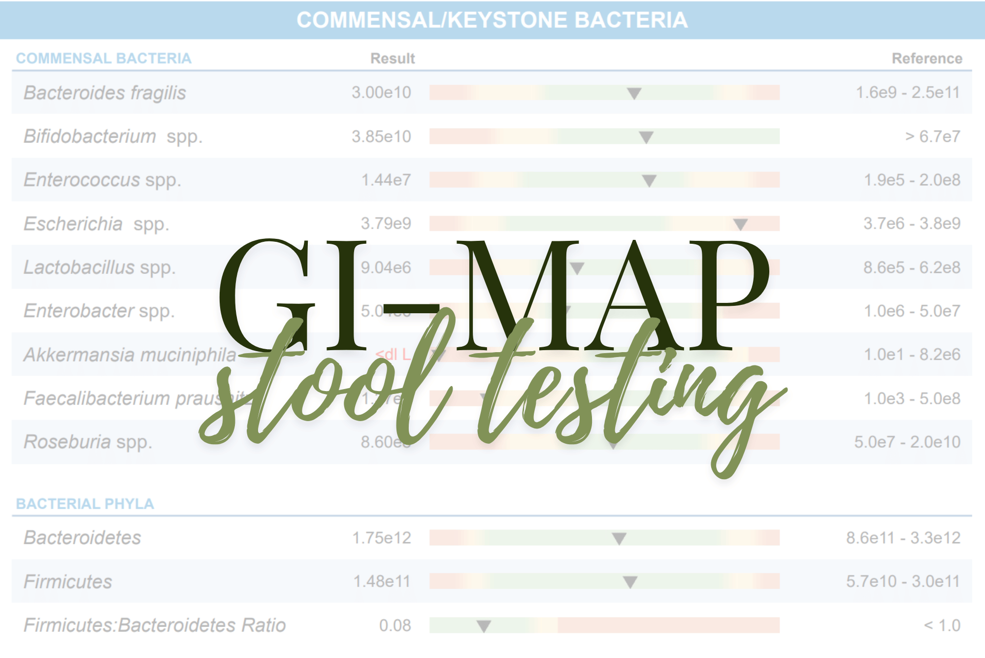 GI-MAP stool test results showing gut microbiome bacteria used to identify root causes of IBS and gut inflammation